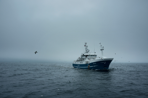 Norges Sjømatråd Atlantic Johan Wildhagen