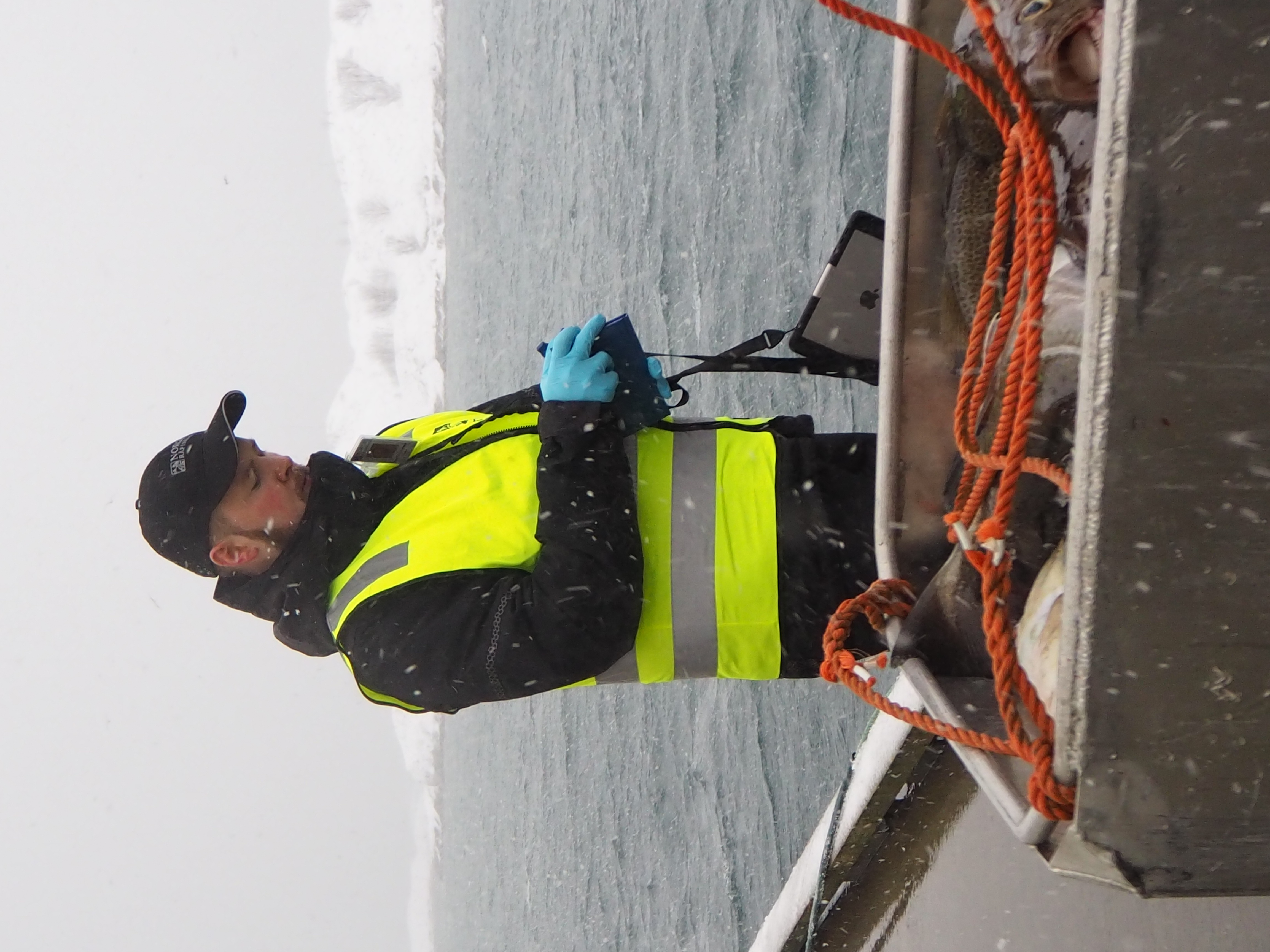 Bjørn Frode er en av Råfisklagets fagfolk på kvalitet, som utfører kvalitetstilsyn av villfanget fisk og skalldyr i Råfisklagets område.